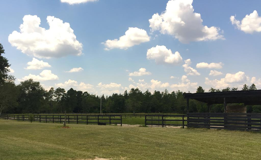 405 Cadle Crossing Road Windsor, SC 29856 - Photo 36 of 43