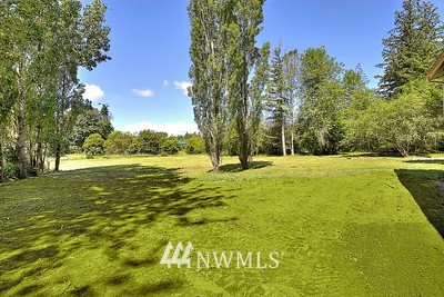 16029 Gibson Road Southwest Tenino, WA 98589 - Photo 34 of 35 a view of yard with trees
