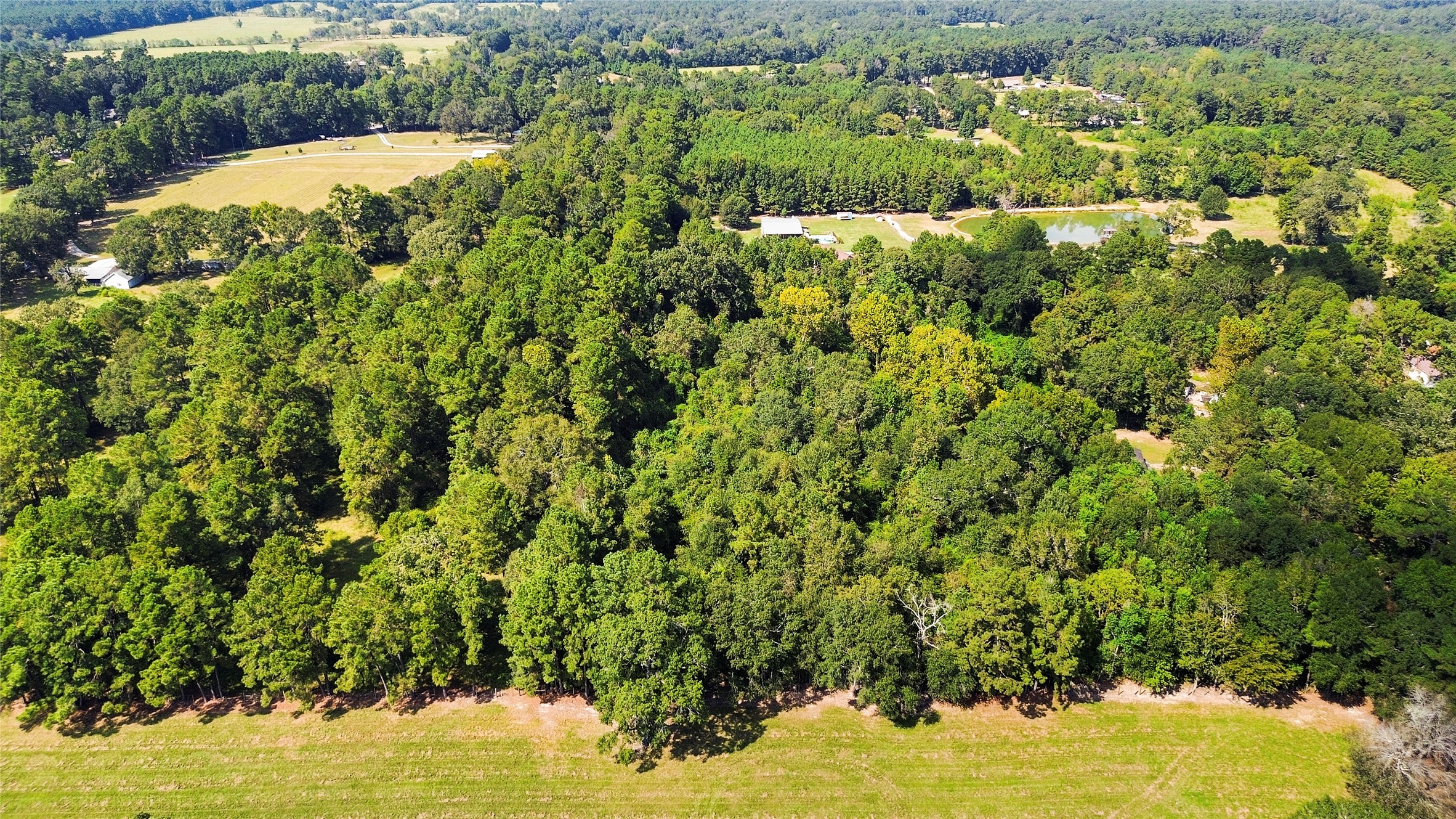 2192 County Road 2192 Cleveland, TX 77327 - Photo 5 of 7 a view of a bunch of trees and bushes