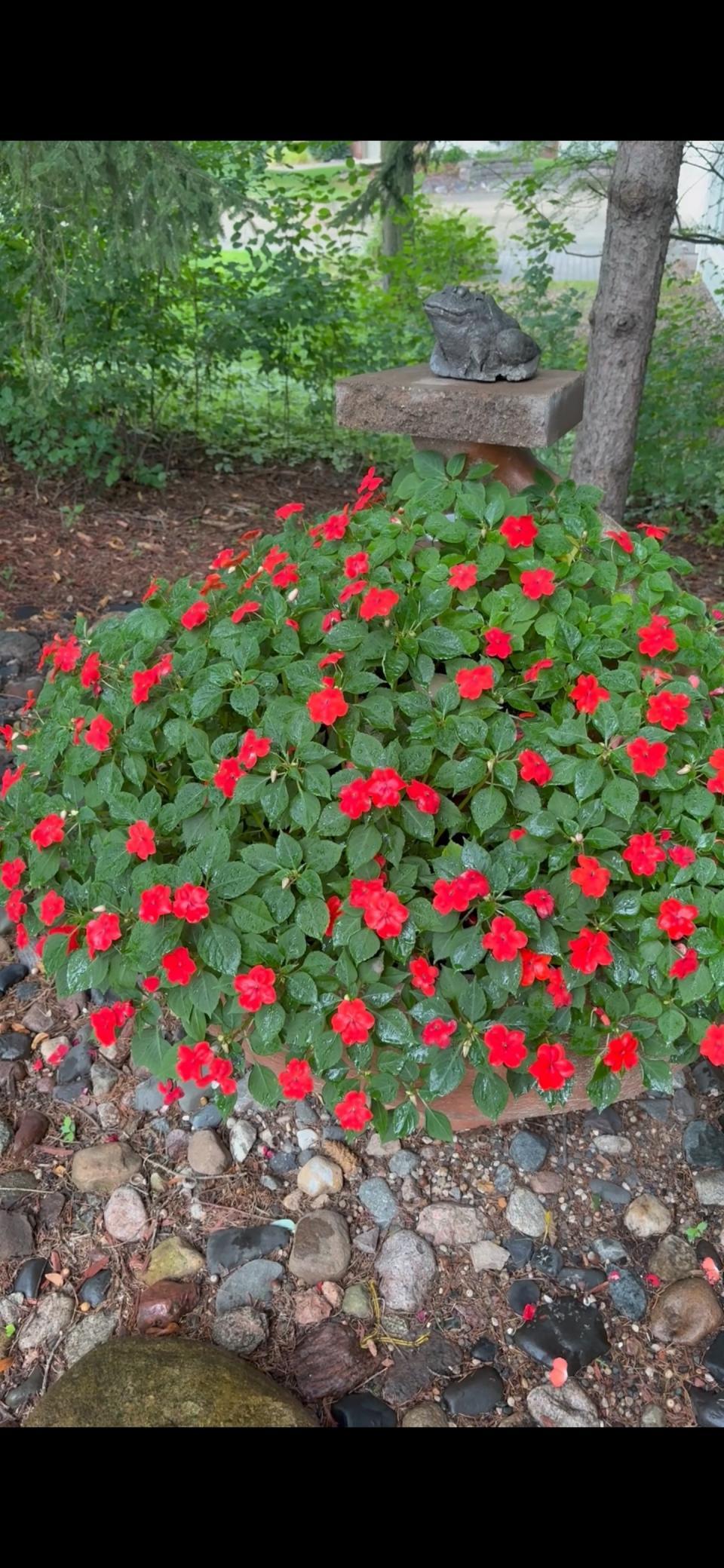 6831 Stonewood Court Eden Prairie, MN 55346 - Photo 43 of 48