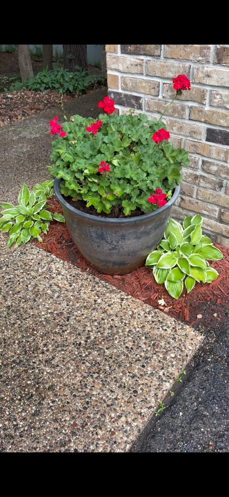 6831 Stonewood Court Eden Prairie, MN 55346 - Photo 44 of 48