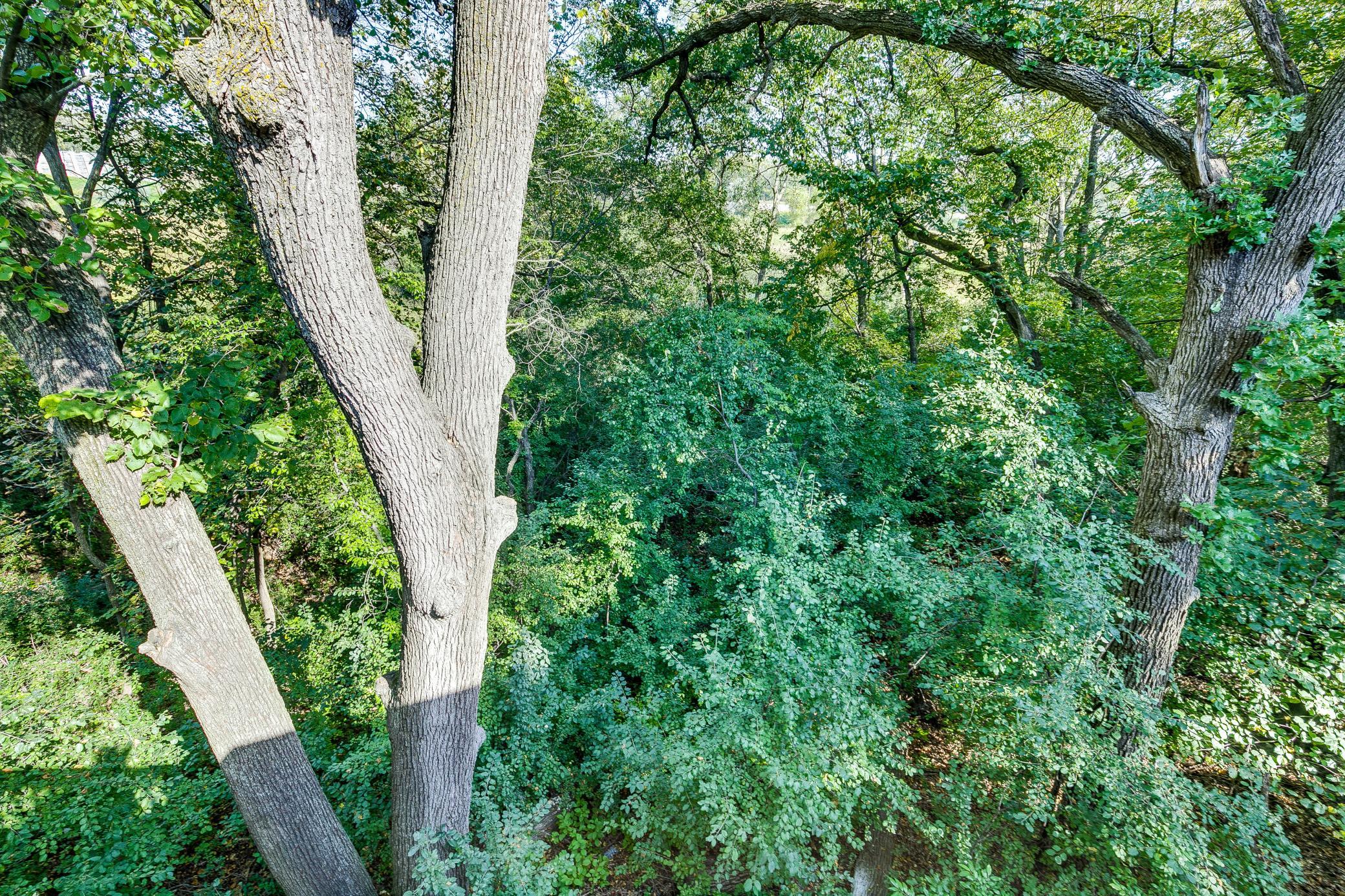 6831 Stonewood Court Eden Prairie, MN 55346 - Photo 6 of 48