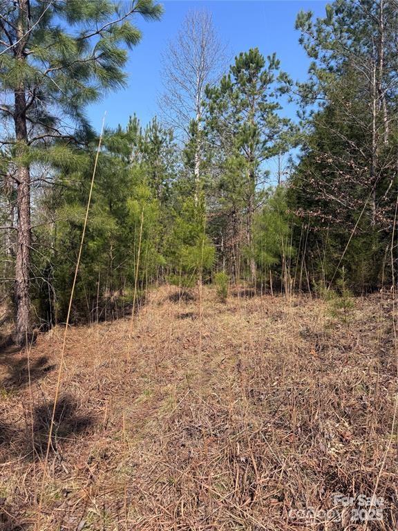 0 Cross Creek Drive, Unit 277 Rutherfordton, NC 28139 - Photo 2 of 11 a view of a forest with trees