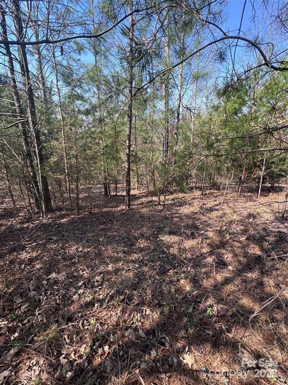 0 Cross Creek Drive, Unit 277 Rutherfordton, NC 28139 - Photo 3 of 11 a view of outdoor space with large trees
