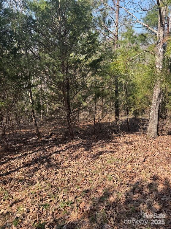 0 Cross Creek Drive, Unit 277 Rutherfordton, NC 28139 - Photo 4 of 11 a view of a yard with plants and trees
