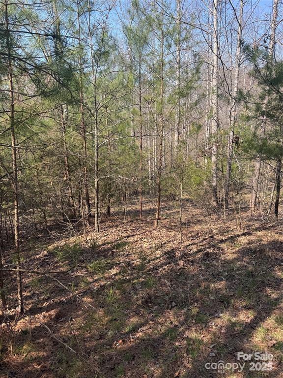 0 Cross Creek Drive, Unit 277 Rutherfordton, NC 28139 - Photo 8 of 11 a view of a yard with trees