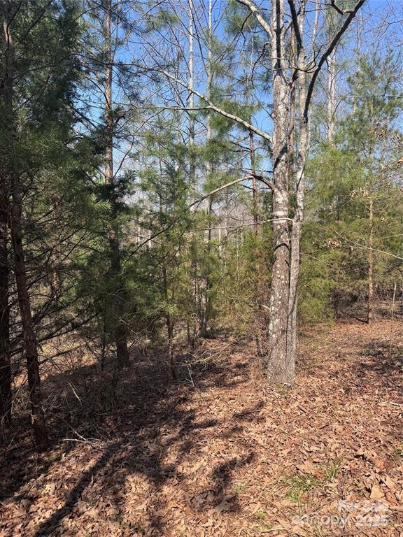 0 Cross Creek Drive, Unit 277 Rutherfordton, NC 28139 - Photo 9 of 11 a view of a forest with trees