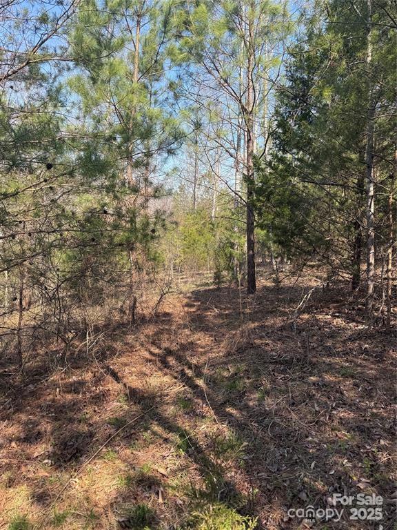 0 Cross Creek Drive, Unit 277 Rutherfordton, NC 28139 - Photo 10 of 11 a view of outdoor space and tree