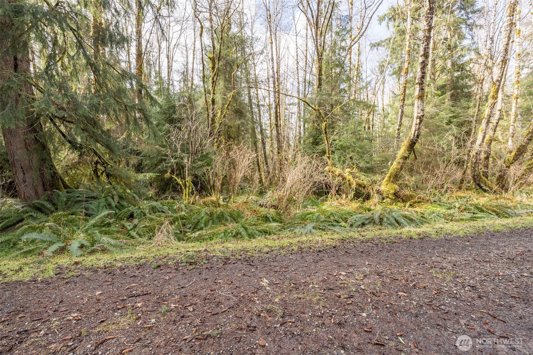1 Swamp Road Clallam Bay, WA 98326 - Photo 6 of 10