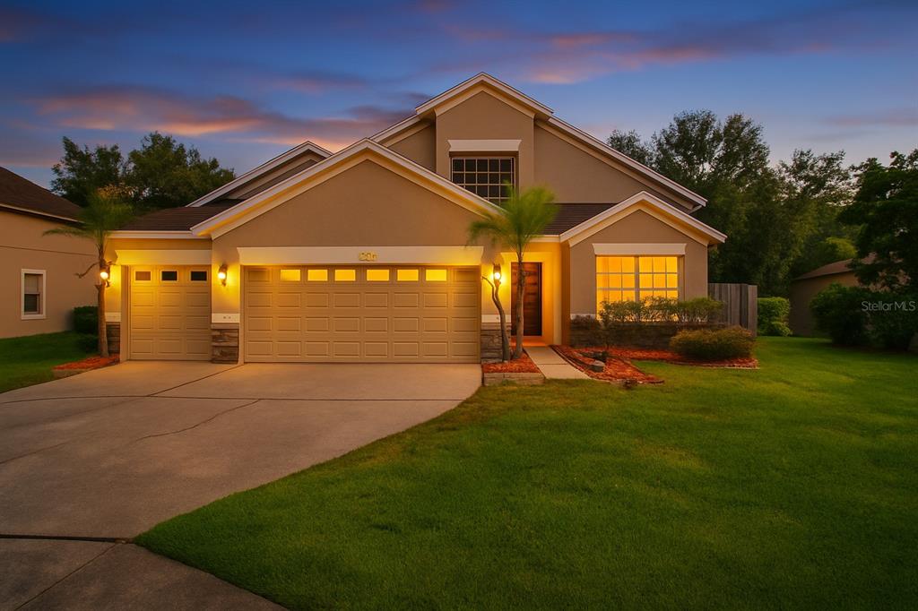 8732 Lovas Trail Trinity, FL 34655 - Photo 1 of 1 a view of a back yard of the house