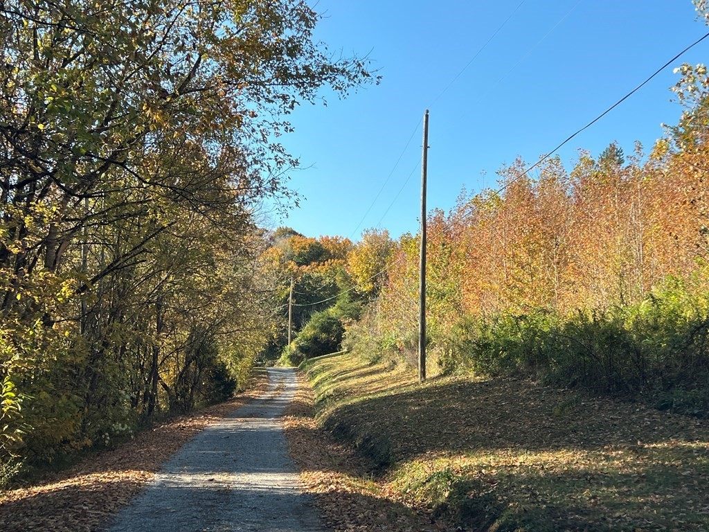 0 Manning Hollow Road Sevierville, TN 37876 - Photo 3 of 14