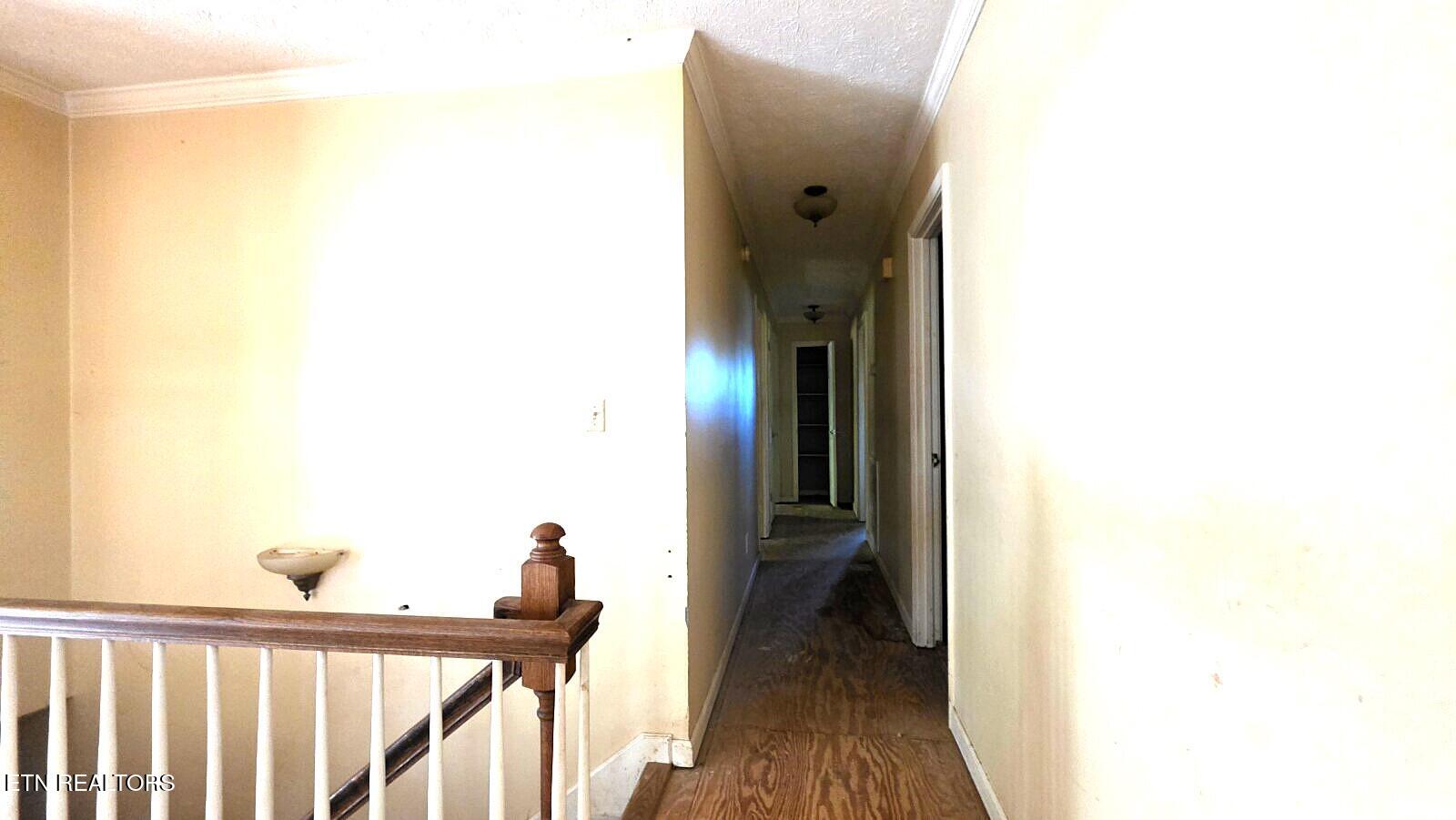 3444 Big Springs Ridge Road Friendsville, TN 37737 - Photo 30 of 47 20260417_163206