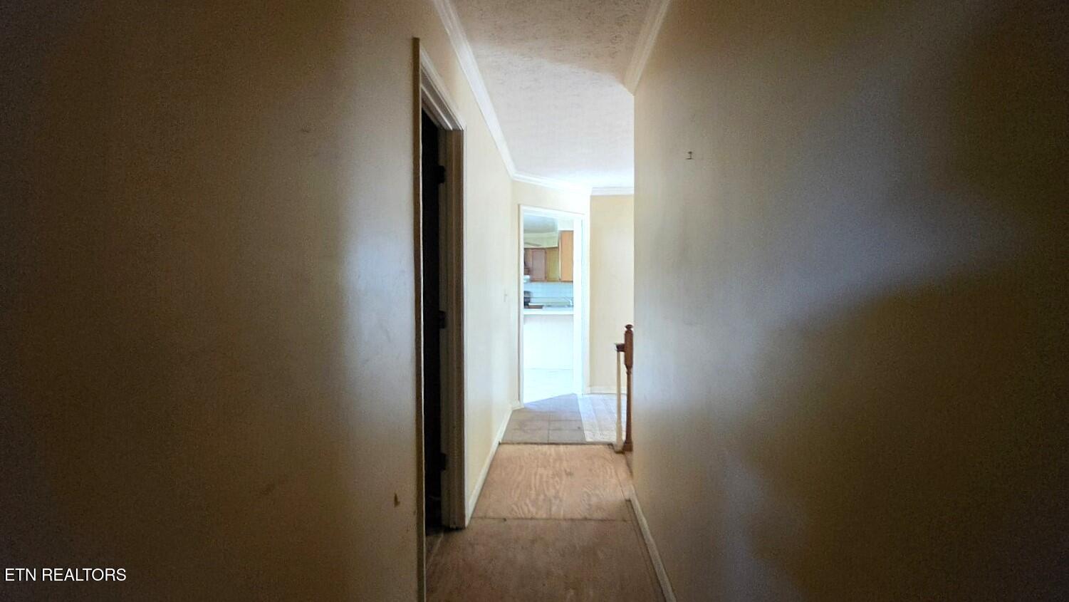 3444 Big Springs Ridge Road Friendsville, TN 37737 - Photo 32 of 47 20260417_163422