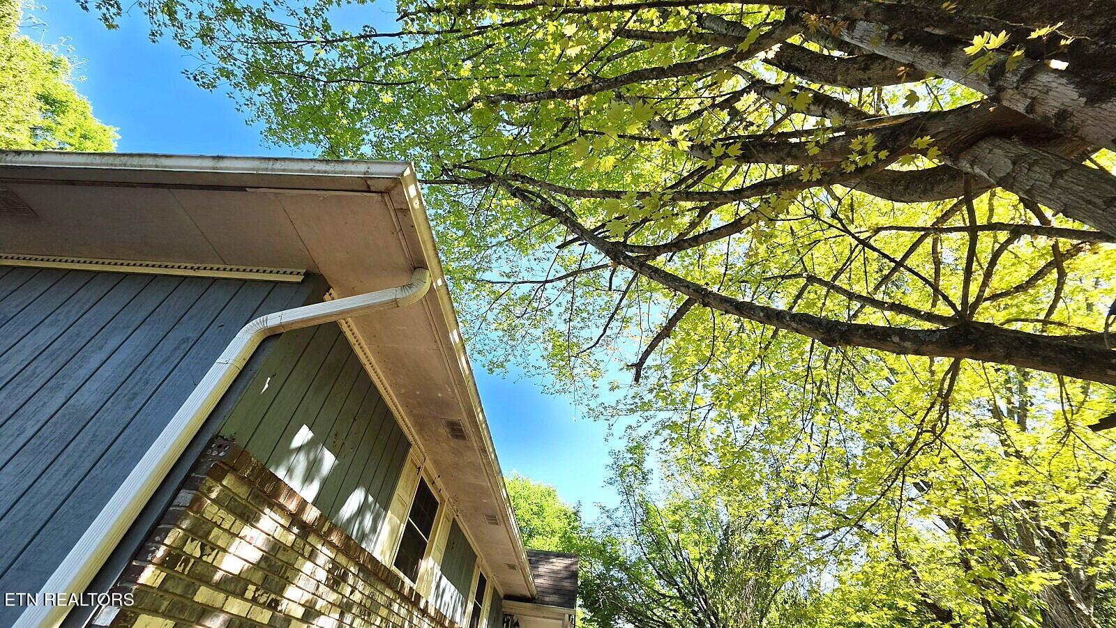 3444 Big Springs Ridge Road Friendsville, TN 37737 - Photo 43 of 47 20260417_162150