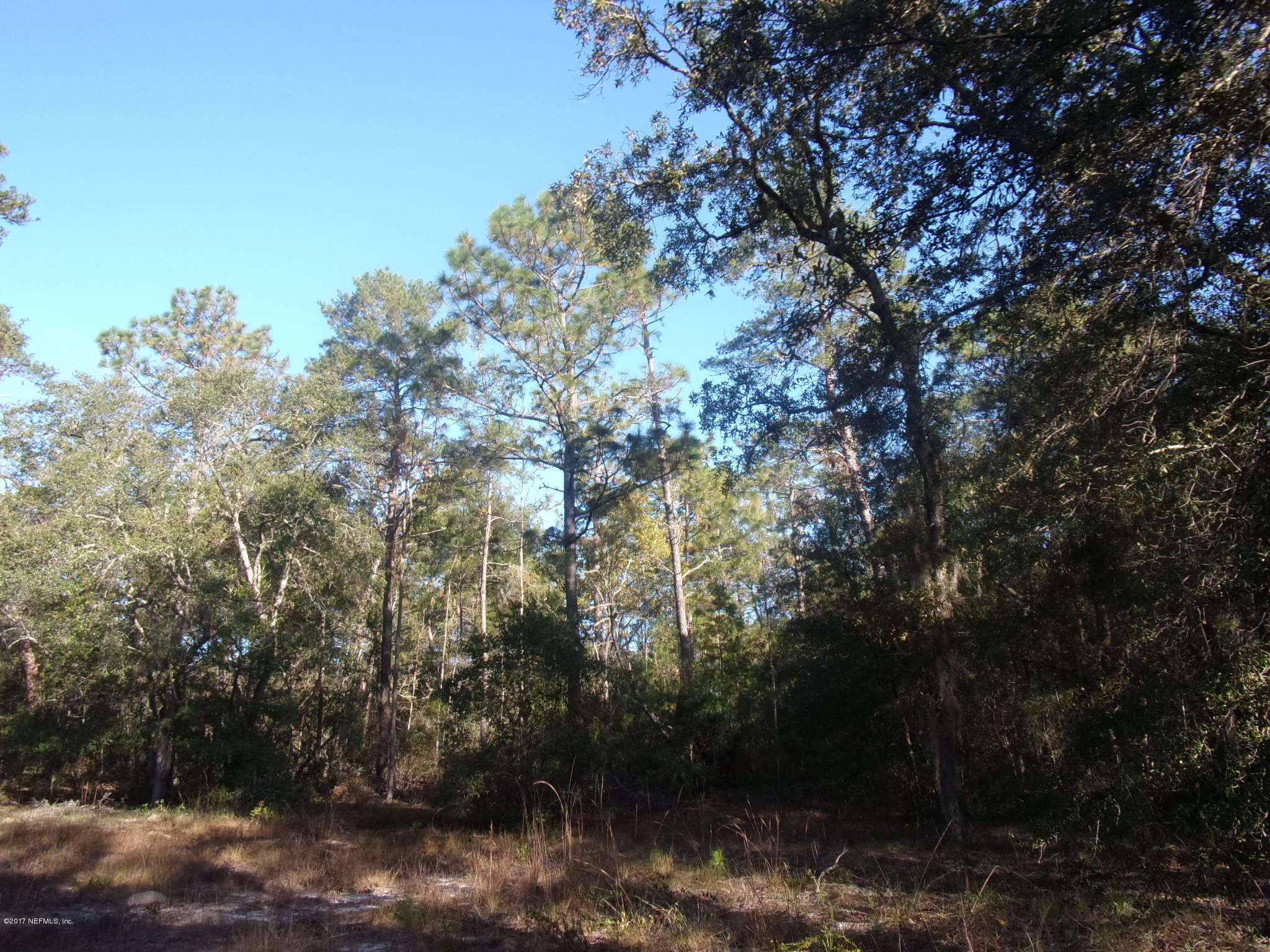 160 Highliner Road Welaka, FL 32112 - Photo 11 of 35 a view of a forest