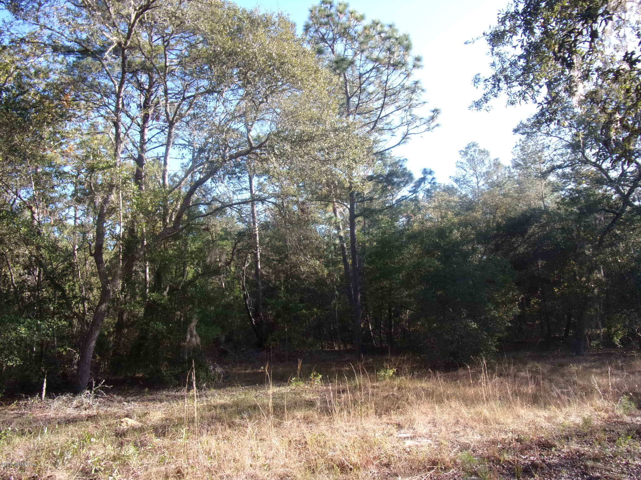 160 Highliner Road Welaka, FL 32112 - Photo 18 of 35 a view of backyard with green space
