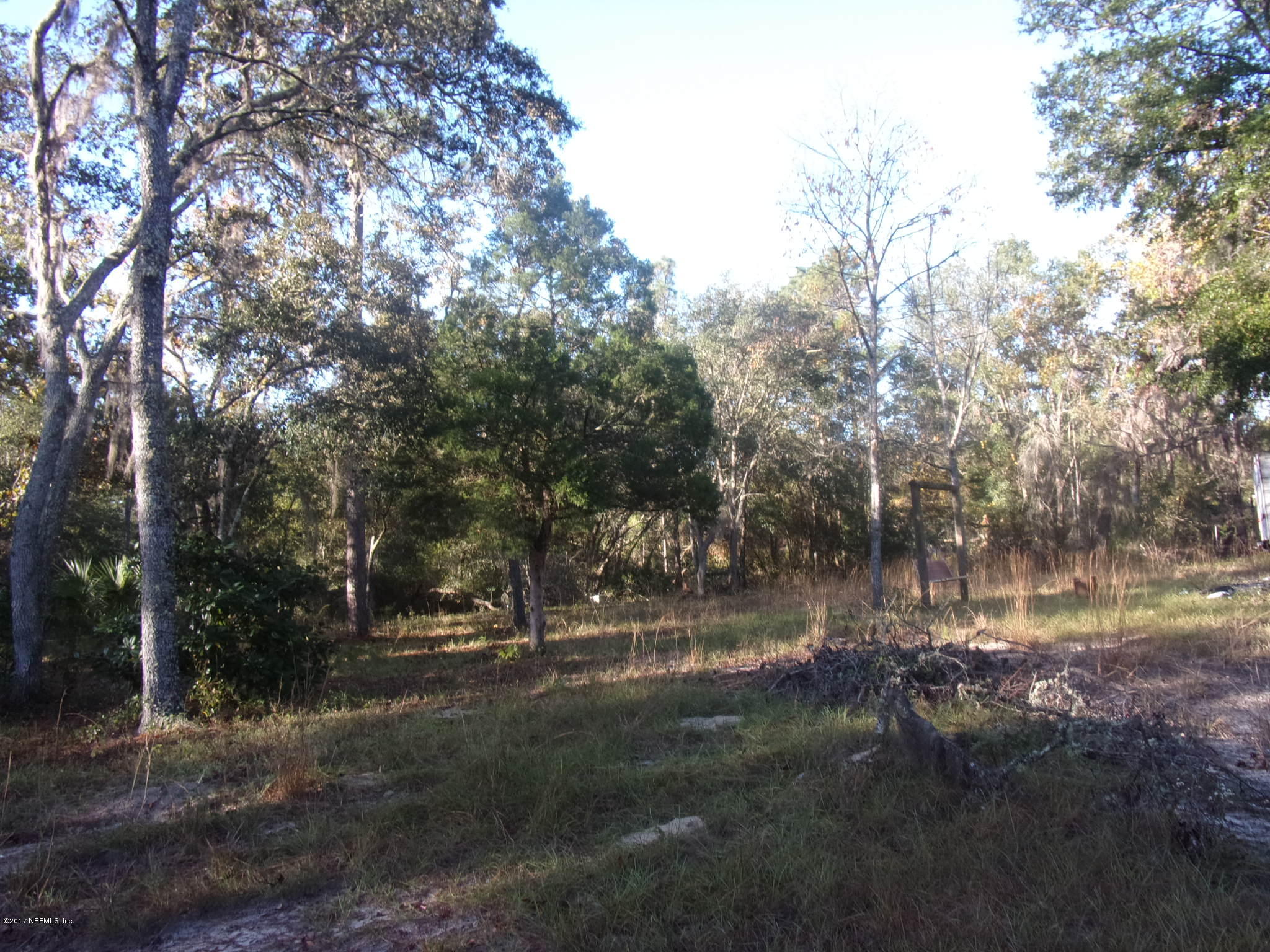 160 Highliner Road Welaka, FL 32112 - Photo 19 of 35 a view of outdoor space with trees