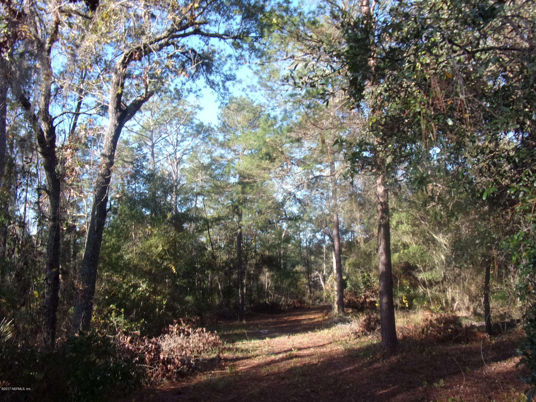 160 Highliner Road Welaka, FL 32112 - Photo 2 of 35 a view of outdoor space and yard