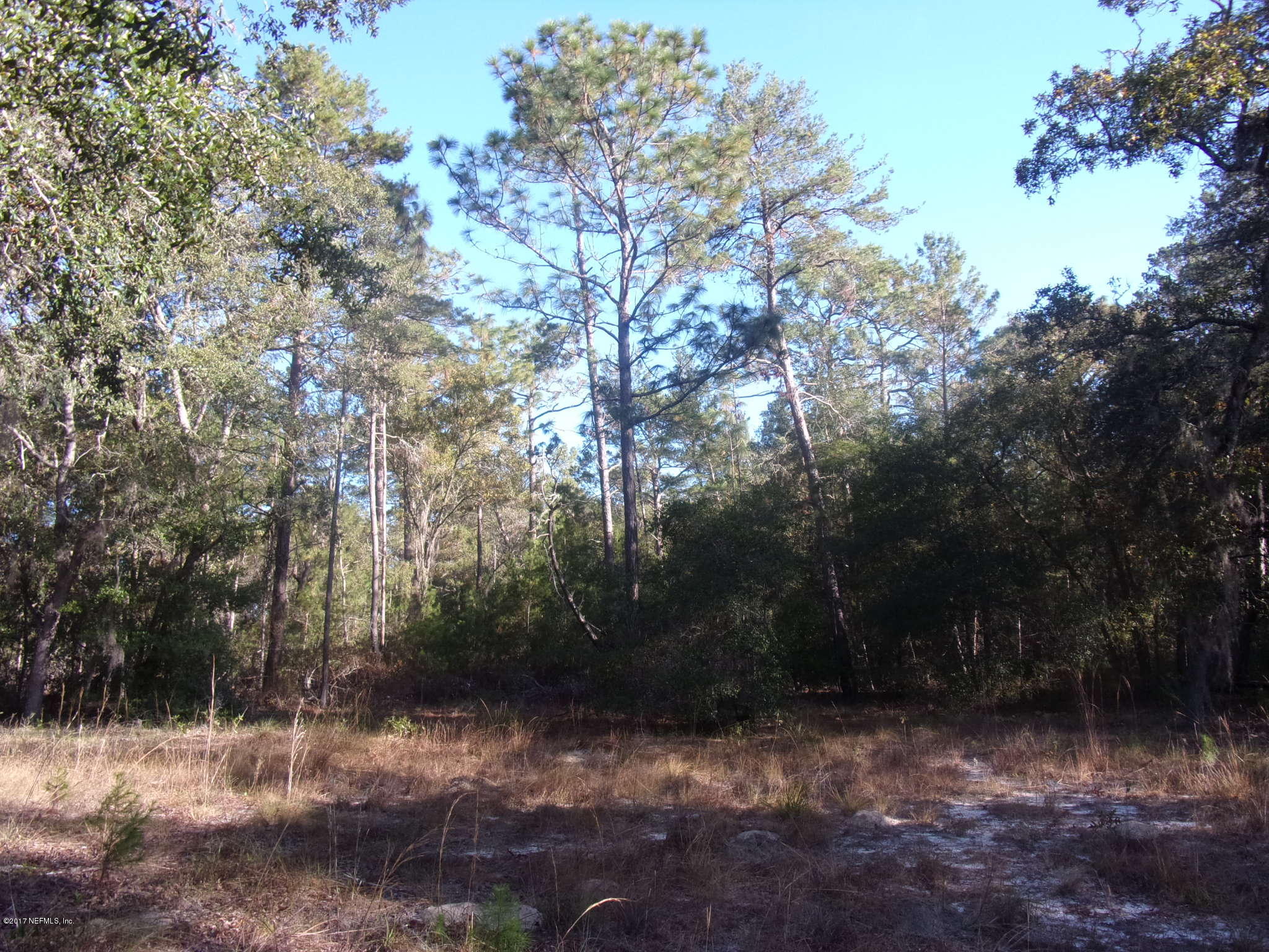 160 Highliner Road Welaka, FL 32112 - Photo 21 of 35 a view of a yard with a tree