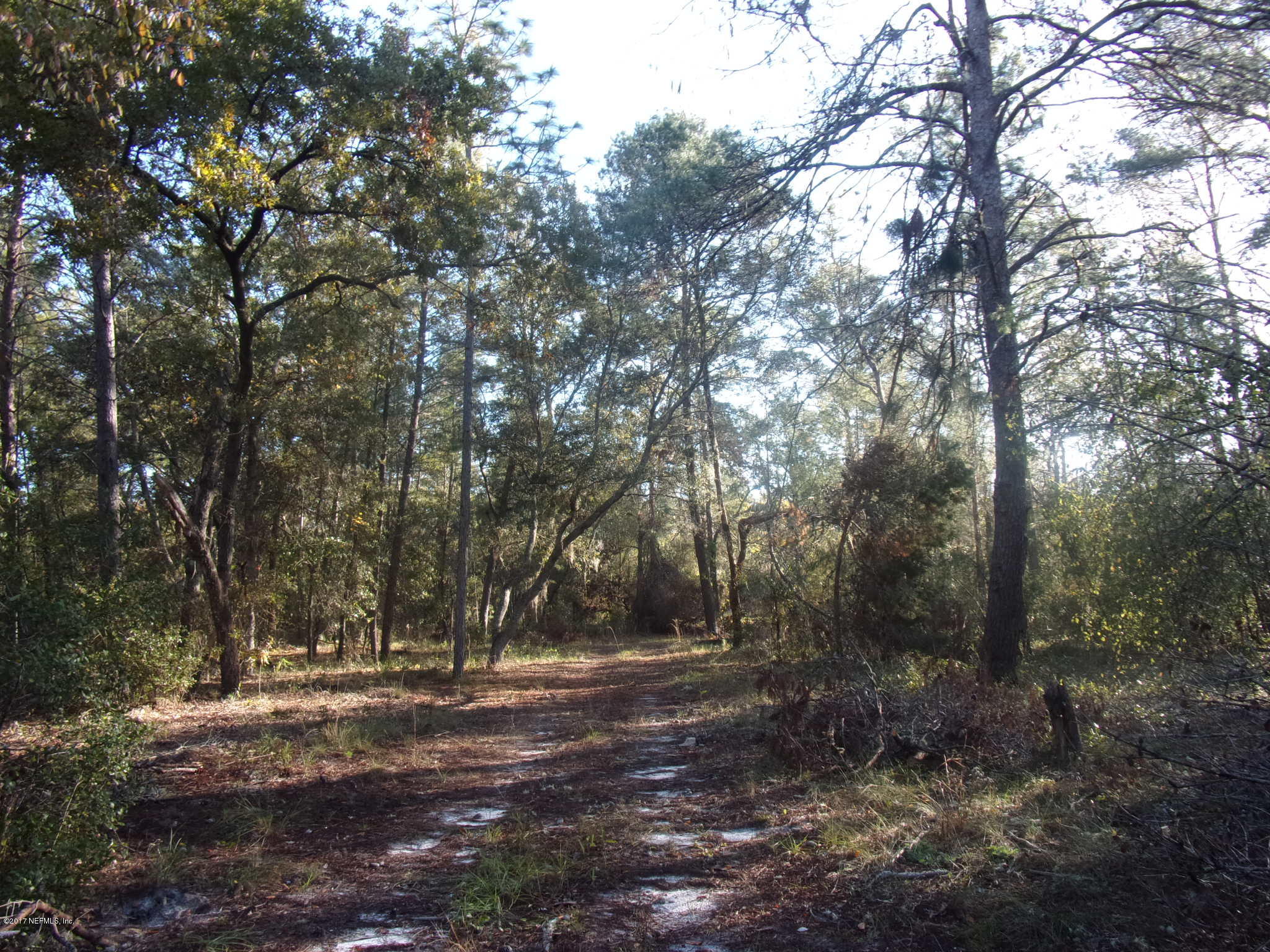 160 Highliner Road Welaka, FL 32112 - Photo 27 of 35 a view of outdoor space with trees