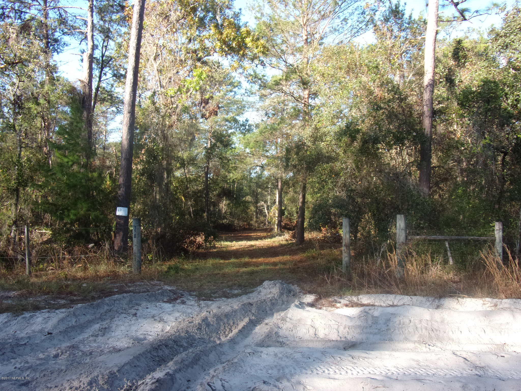 160 Highliner Road Welaka, FL 32112 - Photo 3 of 35 a view of a yard with a tree