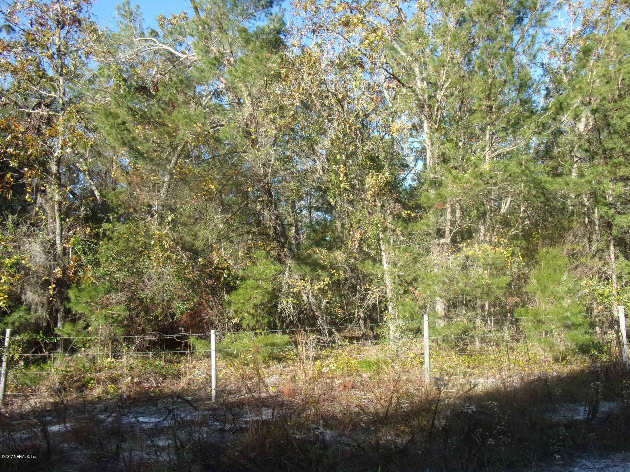 160 Highliner Road Welaka, FL 32112 - Photo 34 of 35 a view of a yard with a tree