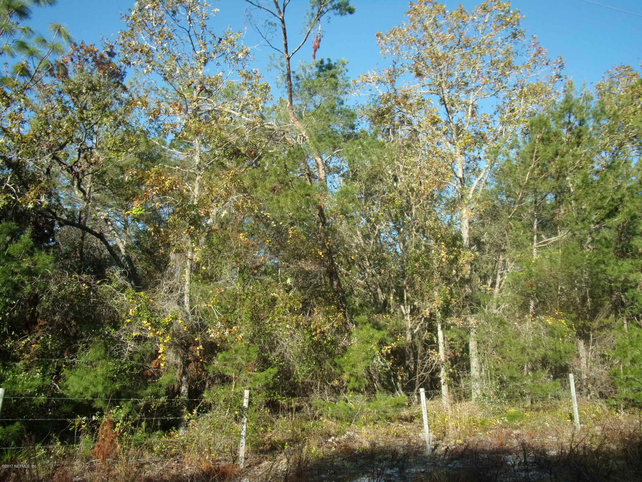 160 Highliner Road Welaka, FL 32112 - Photo 35 of 35 a view of a yard