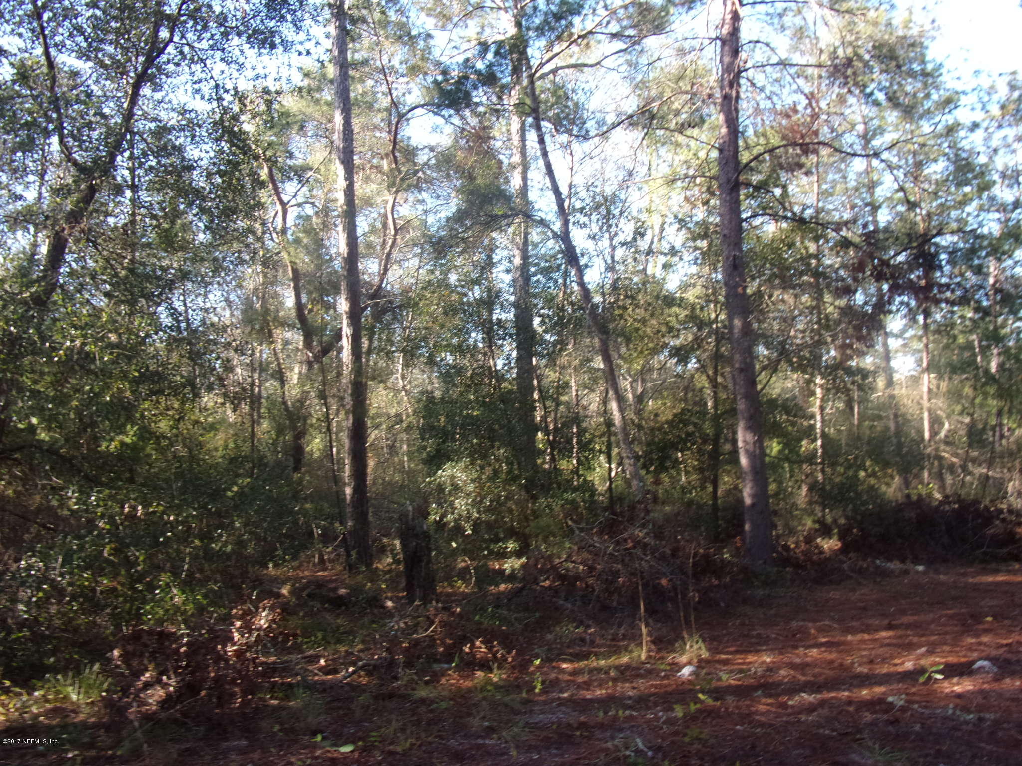 160 Highliner Road Welaka, FL 32112 - Photo 4 of 35 a view of a forest with trees in the background