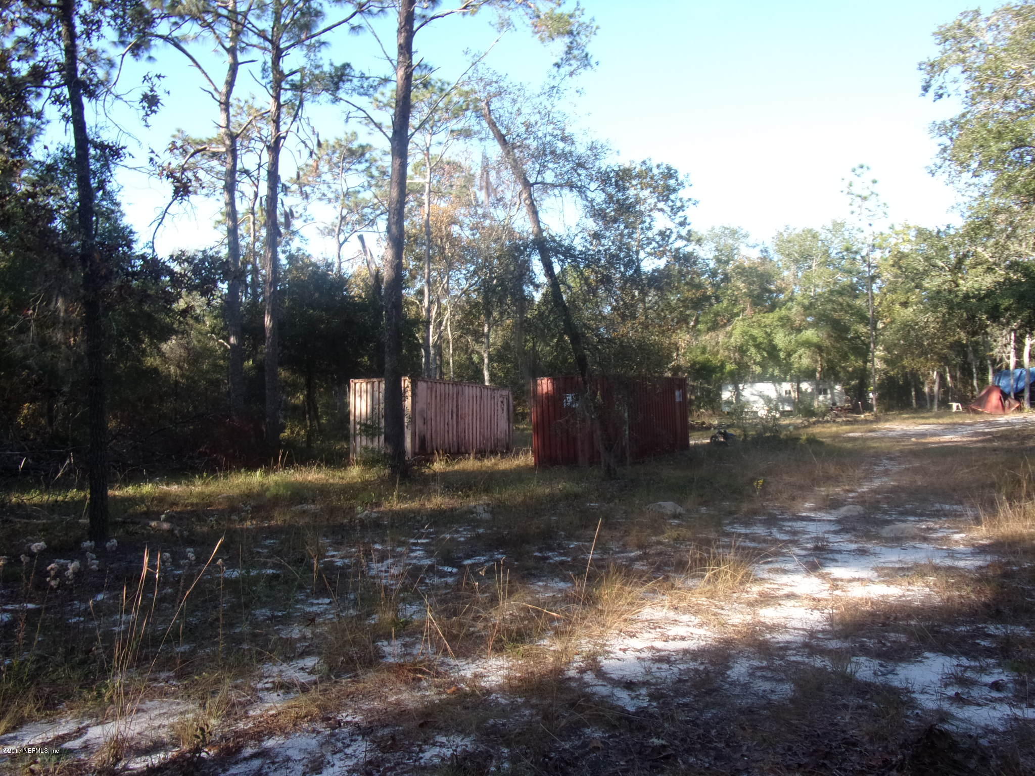 160 Highliner Road Welaka, FL 32112 - Photo 10 of 35 a view of a yard with a tree
