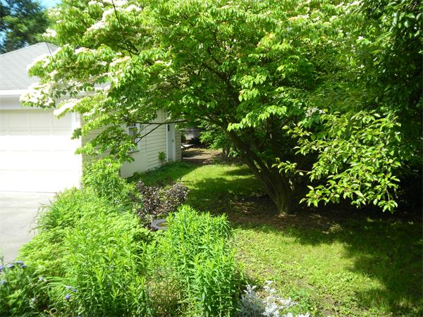 403 Webster Street Needham, MA 02494 - Photo 10 of 12 Gallery Image 10