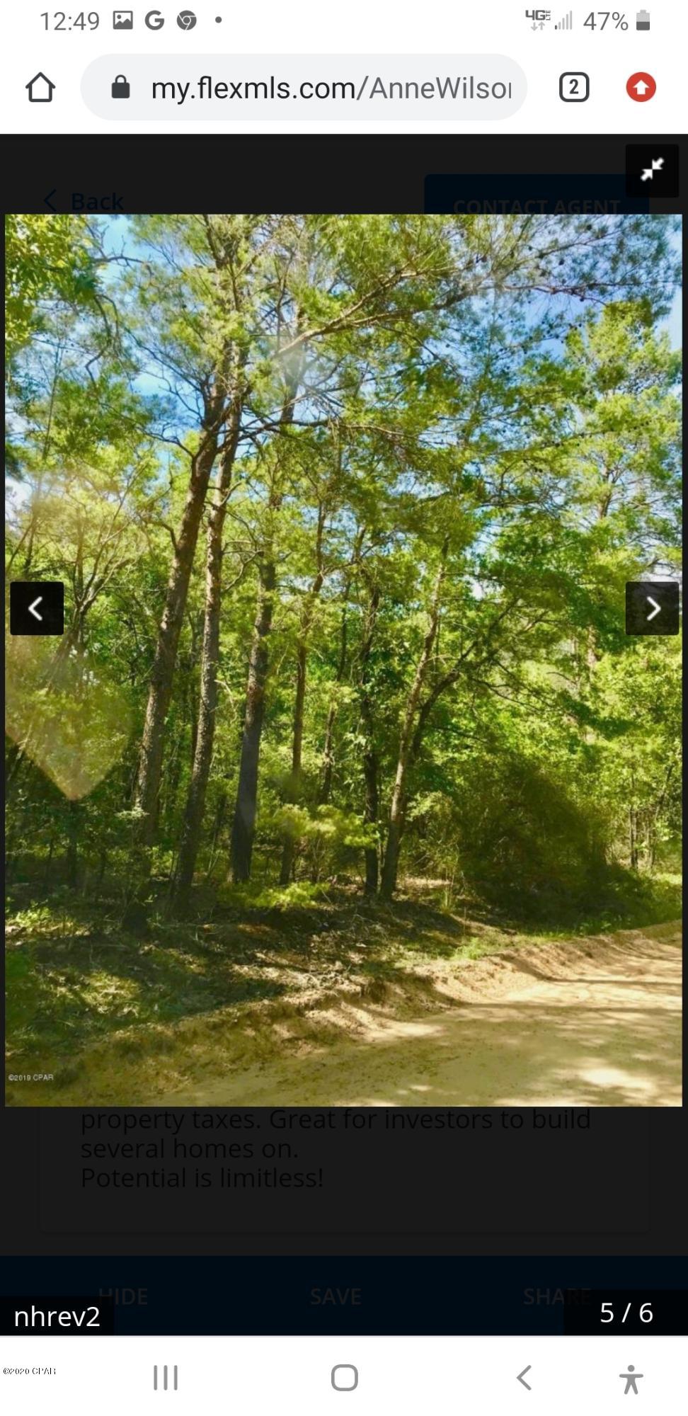 0 Evans Road Vernon, FL 32462 - Photo 2 of 6 Gallery Image 2