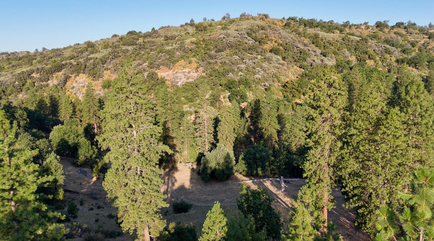 0 Whitaker Forest Road Miramonte, CA 93603 - Photo 32 of 78 a view of a forest with a building in the background