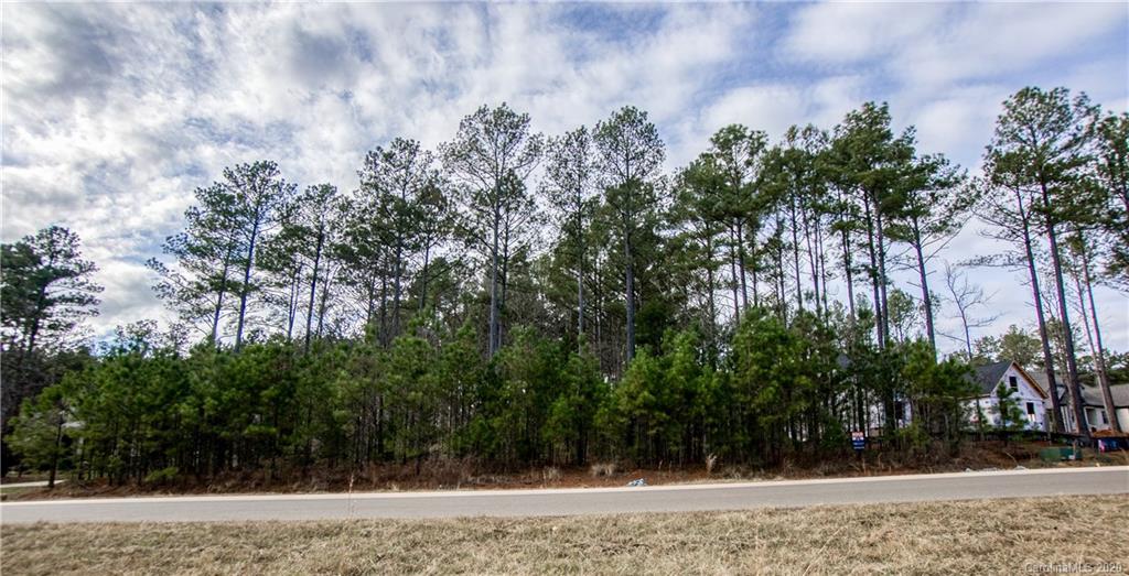 4112 Persimmon Road, Unit 52 Lancaster, SC 29720 - Photo 4 of 19 Gallery Image 4