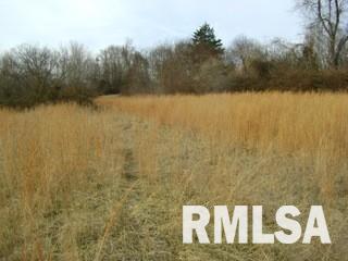 0 West Jamestown Road Cobden, IL 62920 - Photo 3 of 4 Gallery Image 3