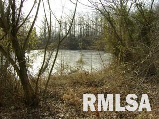 0 West Jamestown Road Cobden, IL 62920 - Photo 4 of 4 Gallery Image 4
