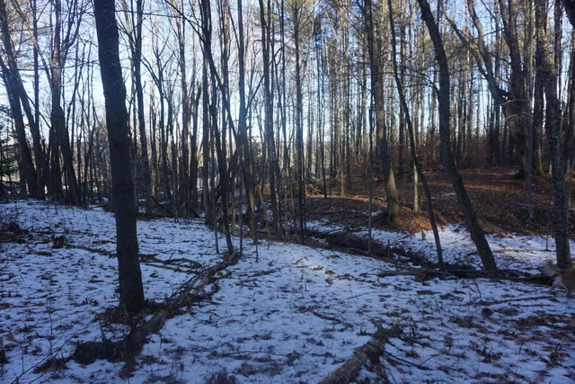 $80,000 | R-13-05.2 King Hill Road, South Paris, ME 04281