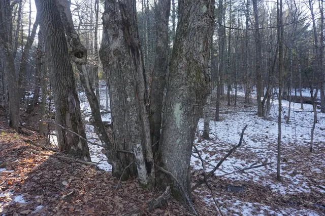 $80,000 | R-13-05.2 King Hill Road, South Paris, ME 04281