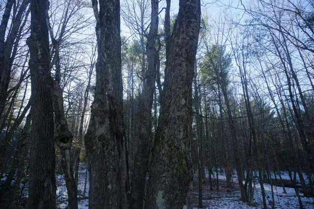 $80,000 | R-13-05.2 King Hill Road, South Paris, ME 04281