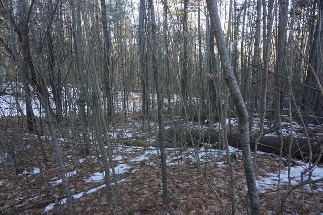 $80,000 | R-13-05.2 King Hill Road, South Paris, ME 04281