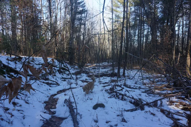 $80,000 | R-13-05.2 King Hill Road, South Paris, ME 04281