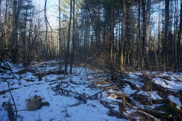 $80,000 | R-13-05.2 King Hill Road, South Paris, ME 04281