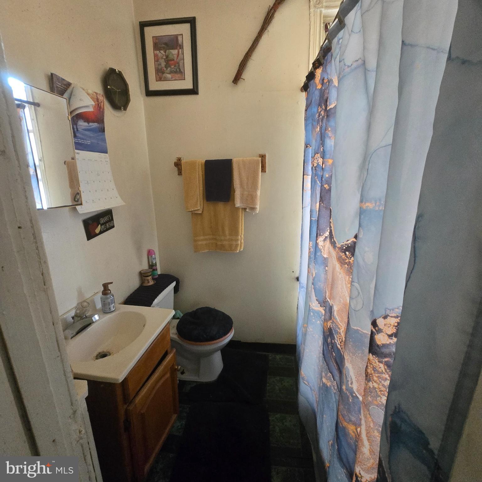 3338 West Sergeant Street Philadelphia, PA 19132 - Photo 17 of 17 Cozy bathroom with rustic charm.