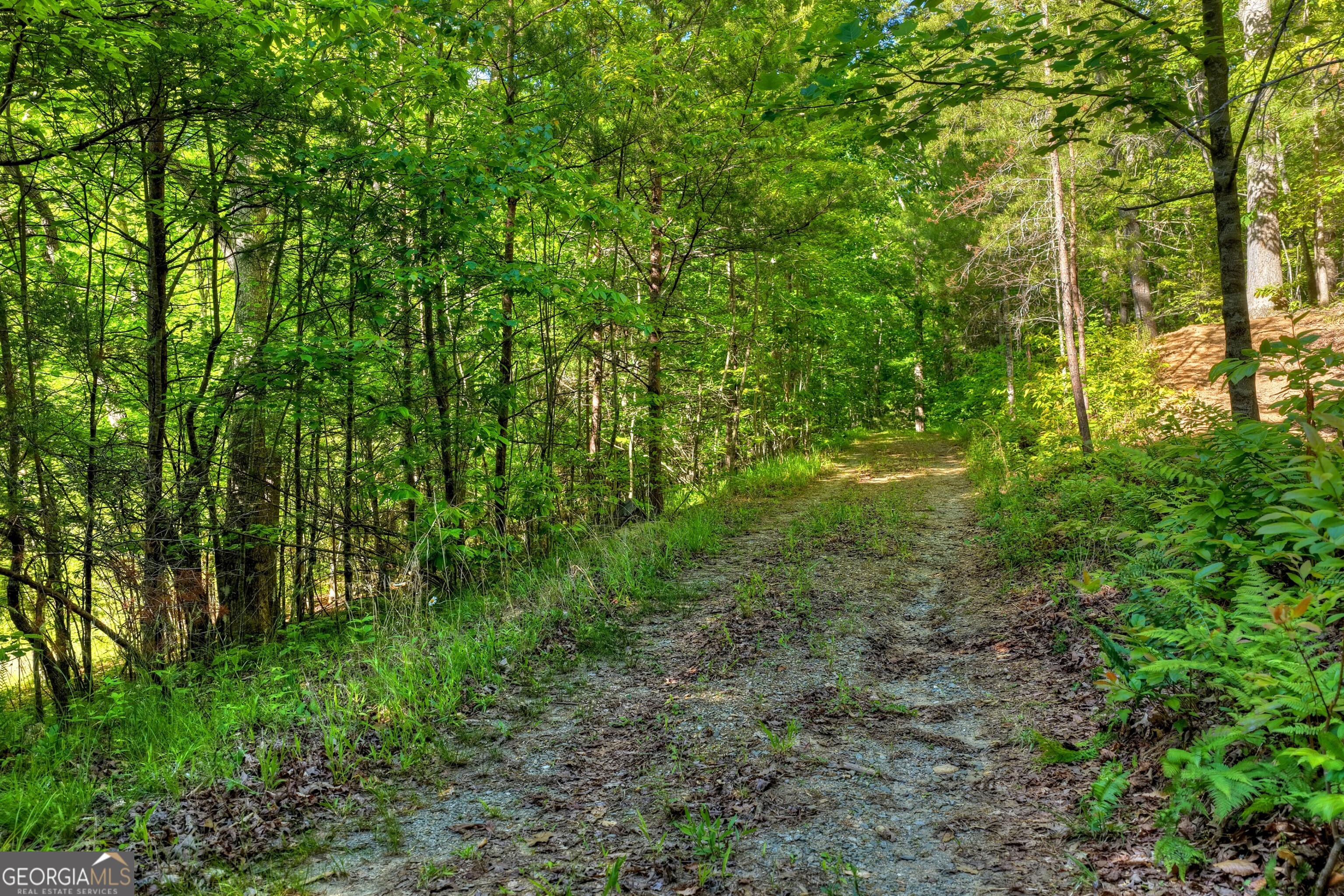 8-ac Mcnelley Road Morganton, GA 30560 - Photo 11 of 47