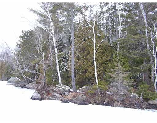 354 Thurlow Road Lee, ME 04455 - Photo 3 of 8 Land/Lot.