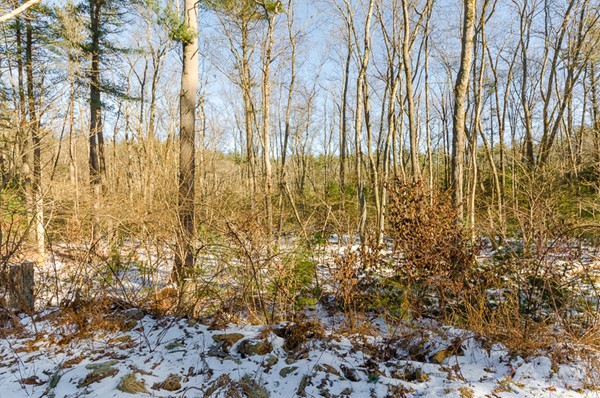 21 A Bennett Road Boxford, MA 01921 - Photo 11 of 17