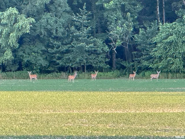 $335,000 | 878 County Road 600N, Sims, IL 62886