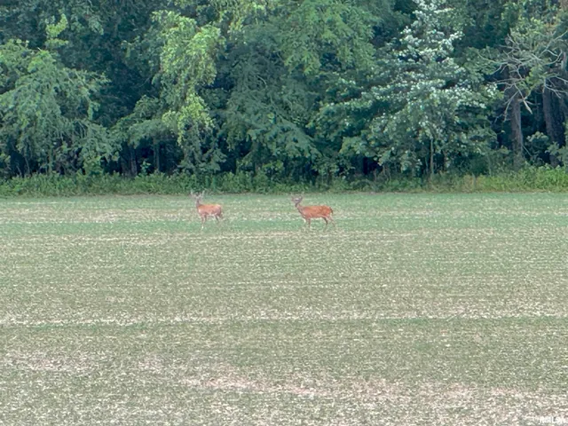 $335,000 | 878 County Road 600N, Sims, IL 62886