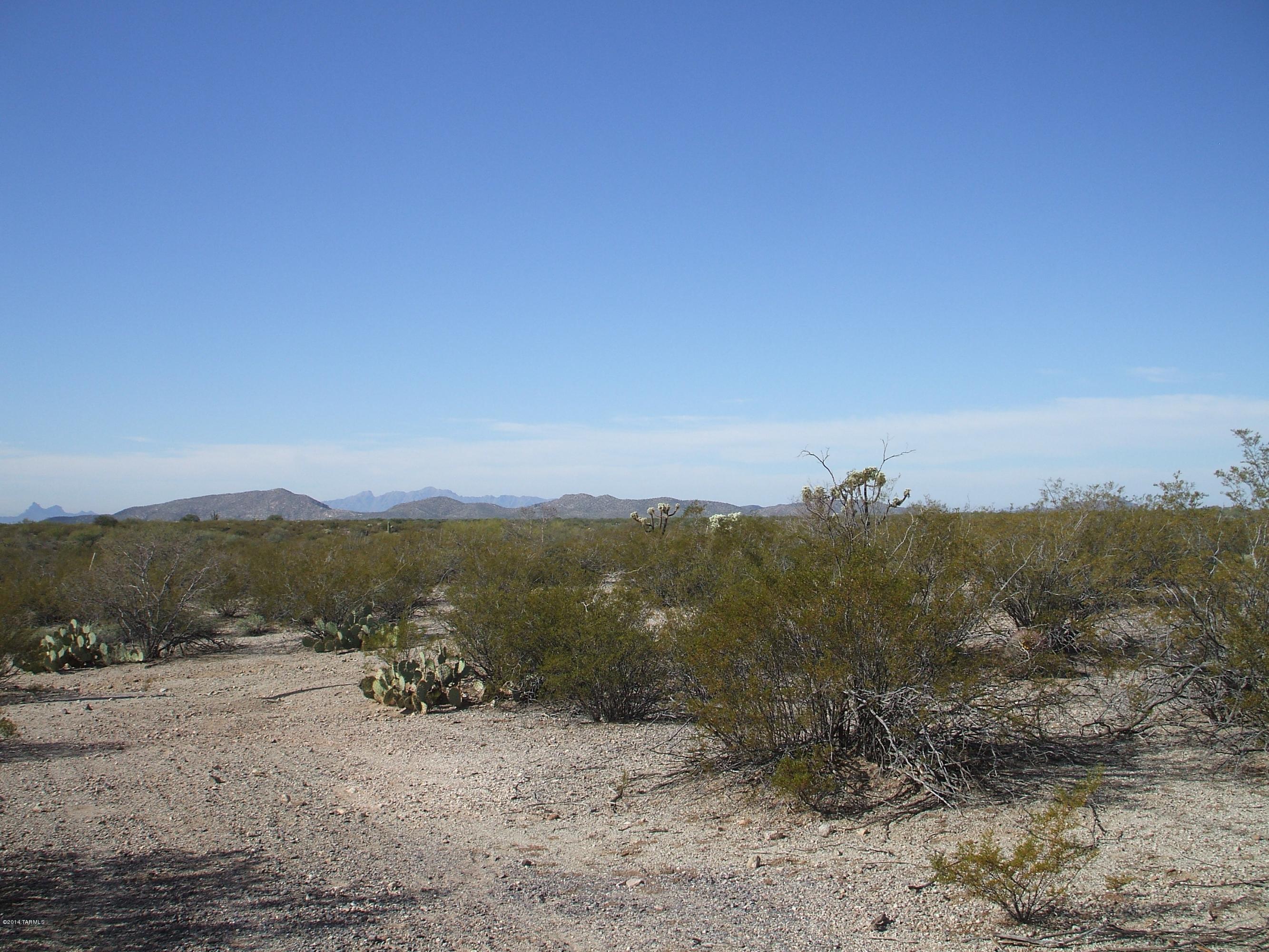 0 South Blazed Ridge Road, Unit 1 Tucson, AZ 85739 - Photo 3 of 5