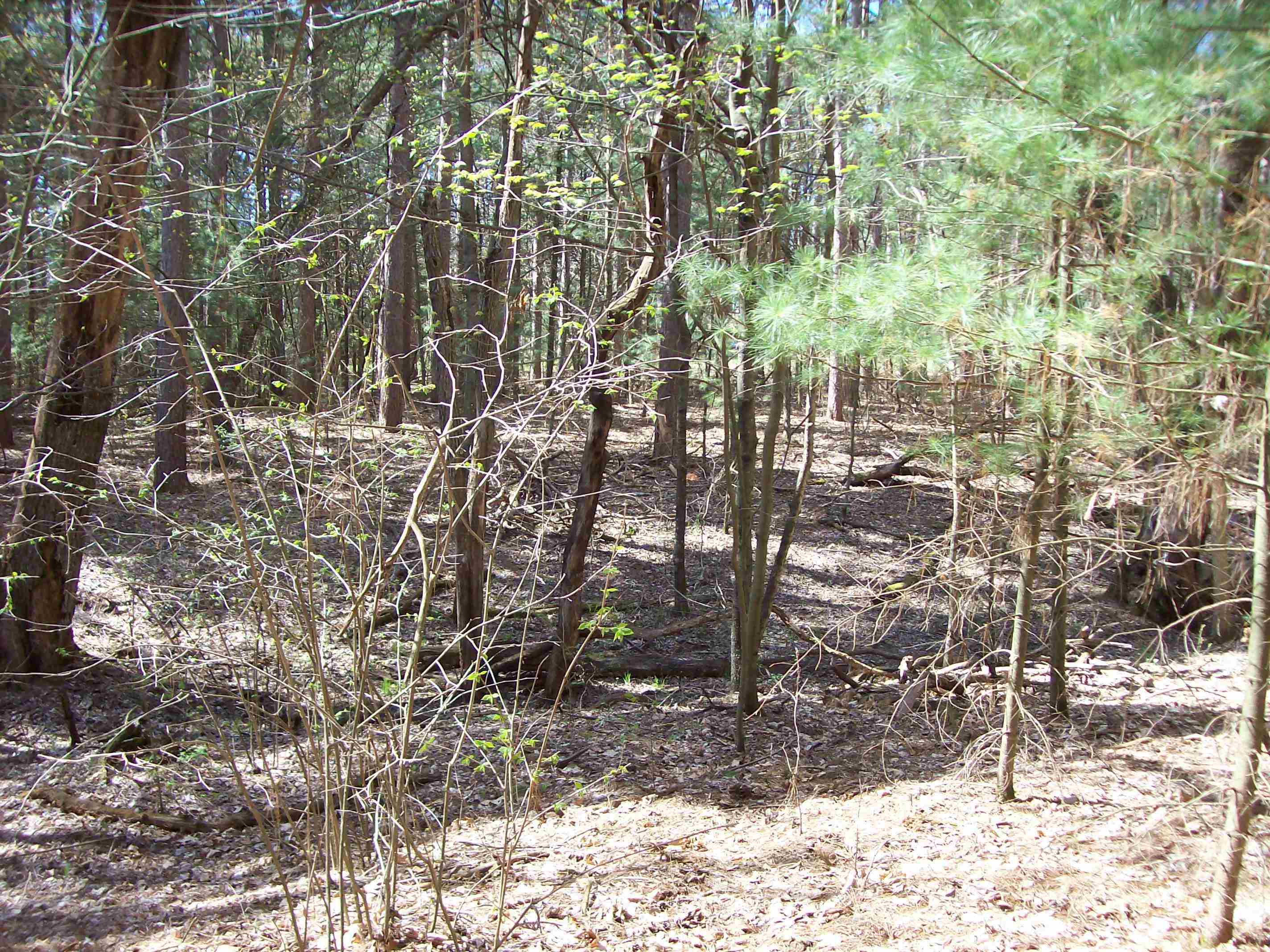 Herwig Wisconsin Dells, WI 53965 - Photo 11 of 27