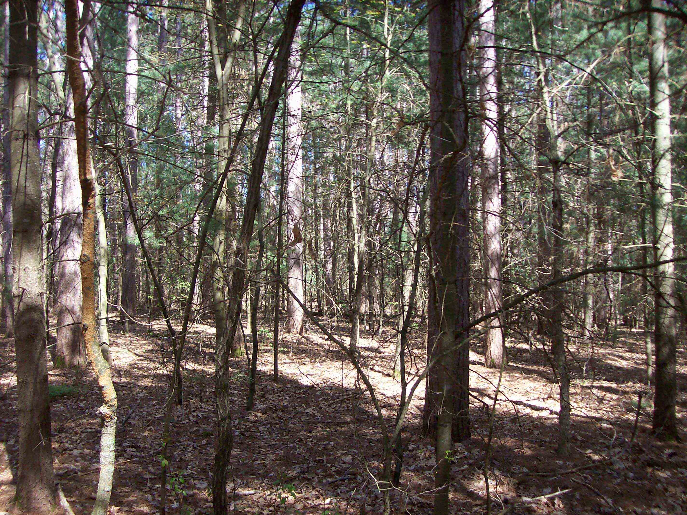 Herwig Wisconsin Dells, WI 53965 - Photo 12 of 27